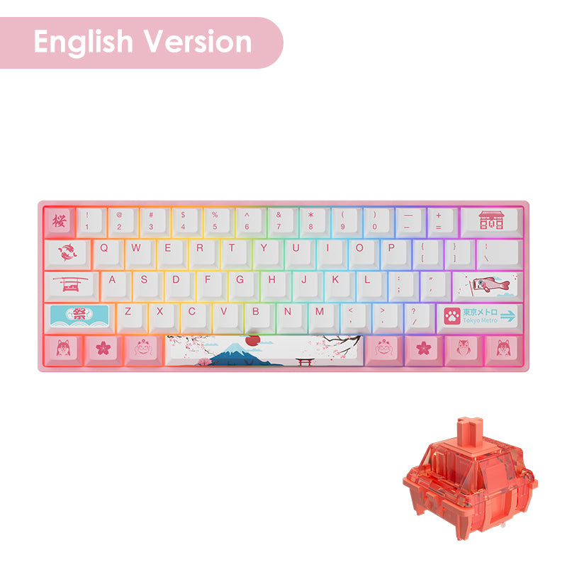 World Tour Tokyo 3061S RGB