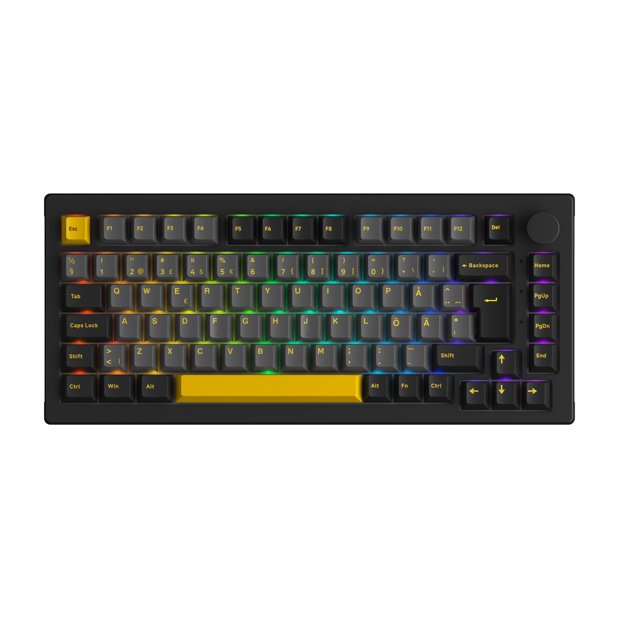 Black & Gold 5075B Plus ISO Nordic