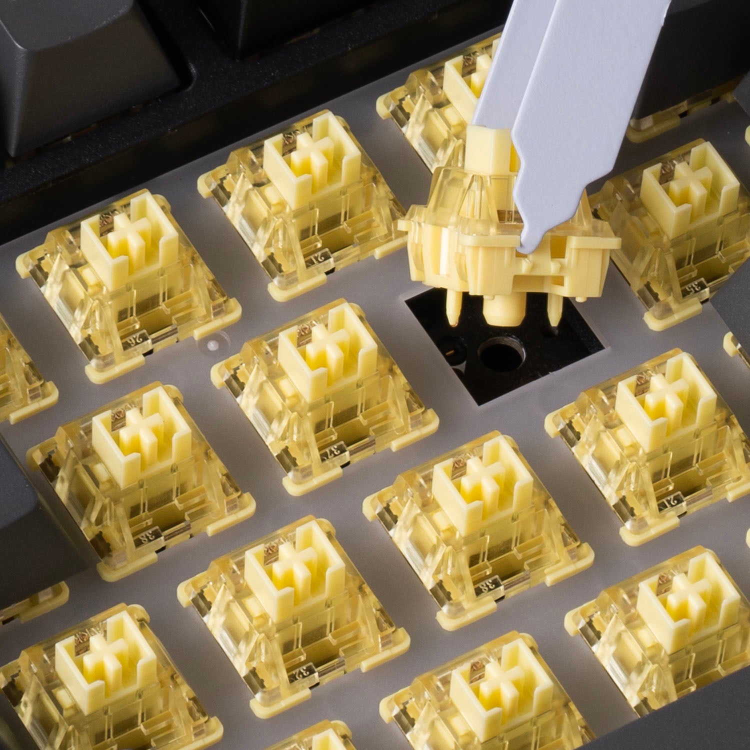 5087 ISO DE Black Gold 5pin Hot-Swappable