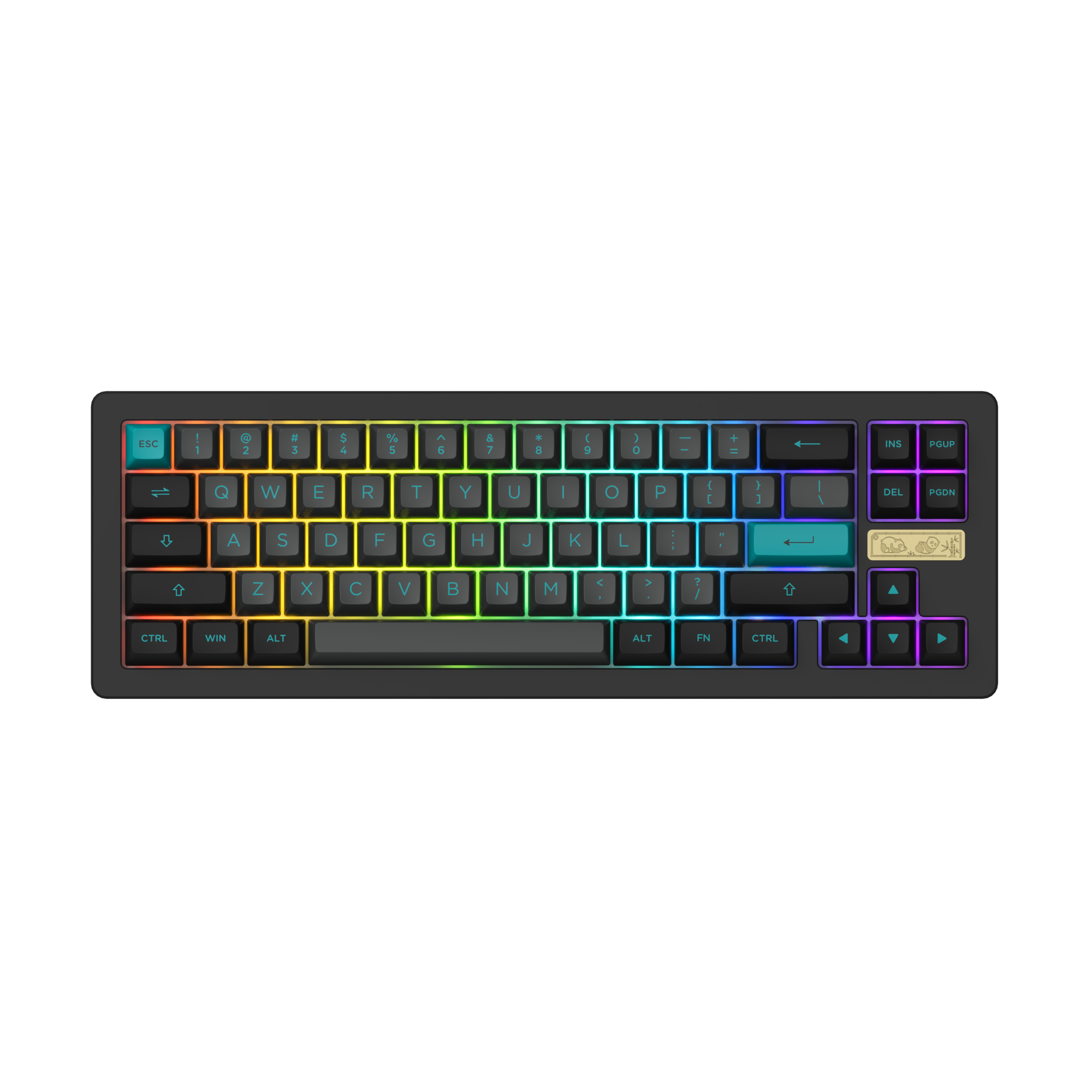 Akko ACR Pro 68 Black & Cyan | AKKO EU