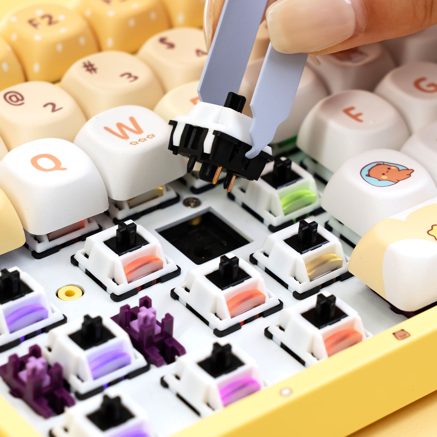 Akko Dudu and Bubu 5108B Plus Hot Swappable