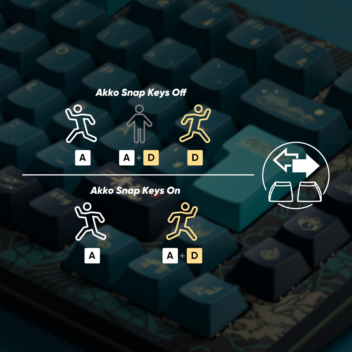 MOD 007 HE Year of Dragon Snap Key Feature