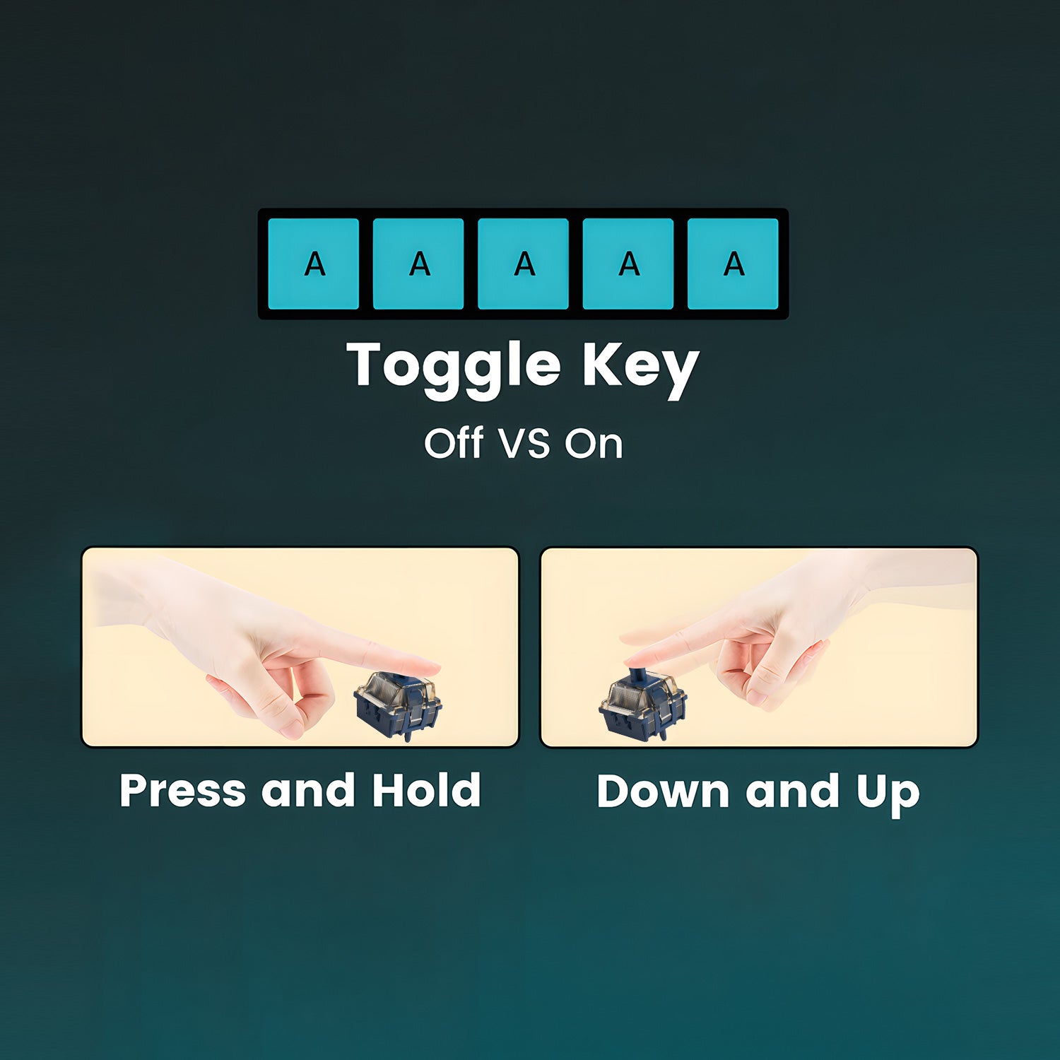 MOD 007 HE Year of Dragon Toggle Key