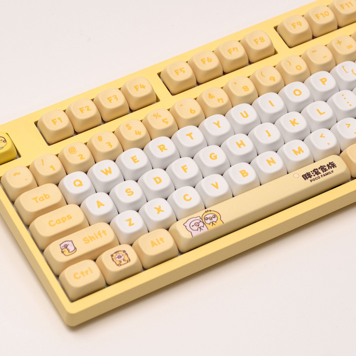Akko POCO Duck 3108V3 Mechanical Keyboard Left Details
