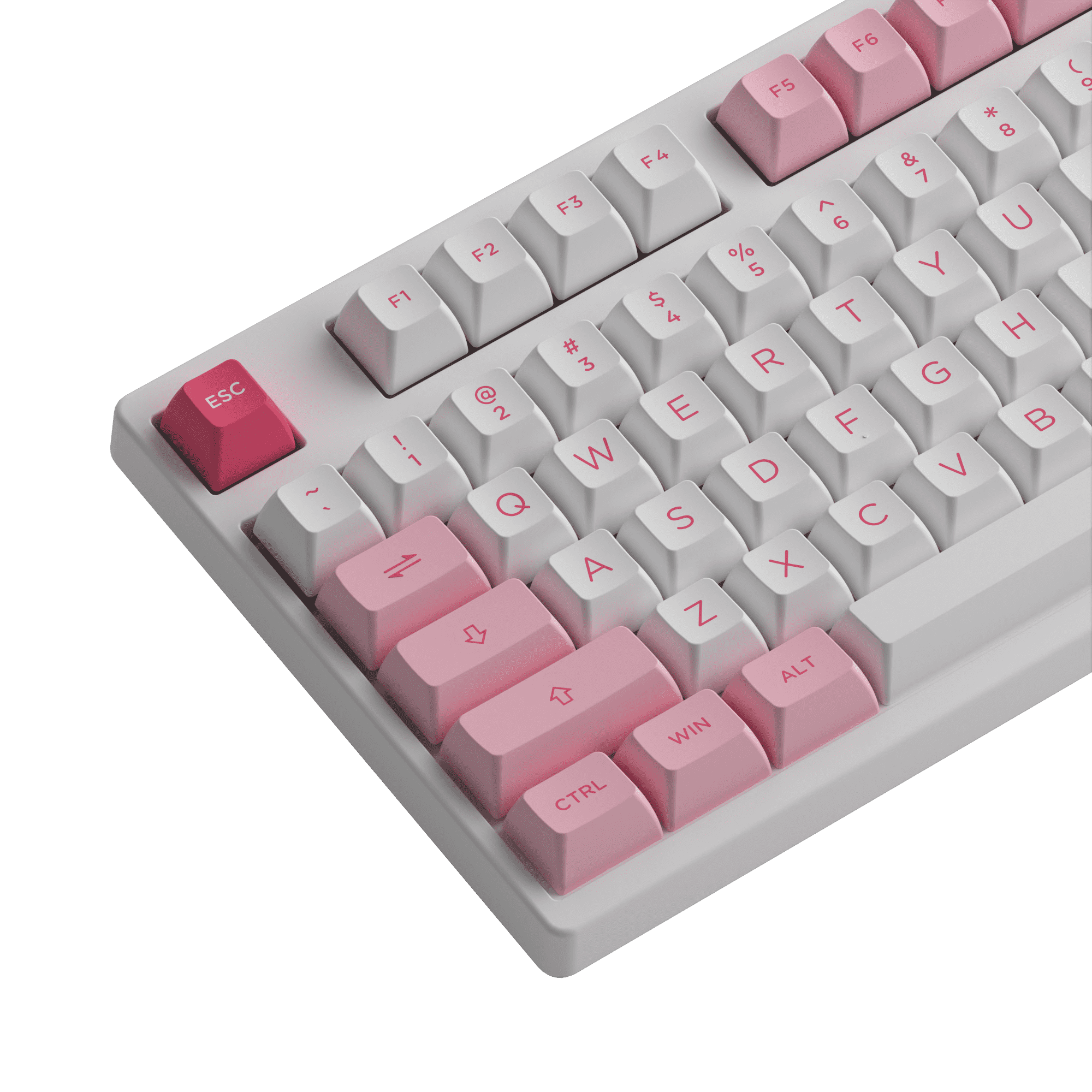 Prunus Lannesiana 3108v3