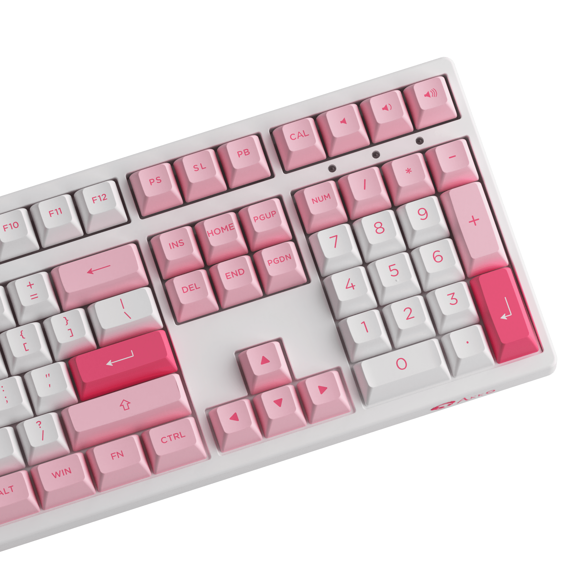 Prunus Lannesiana 3108v3