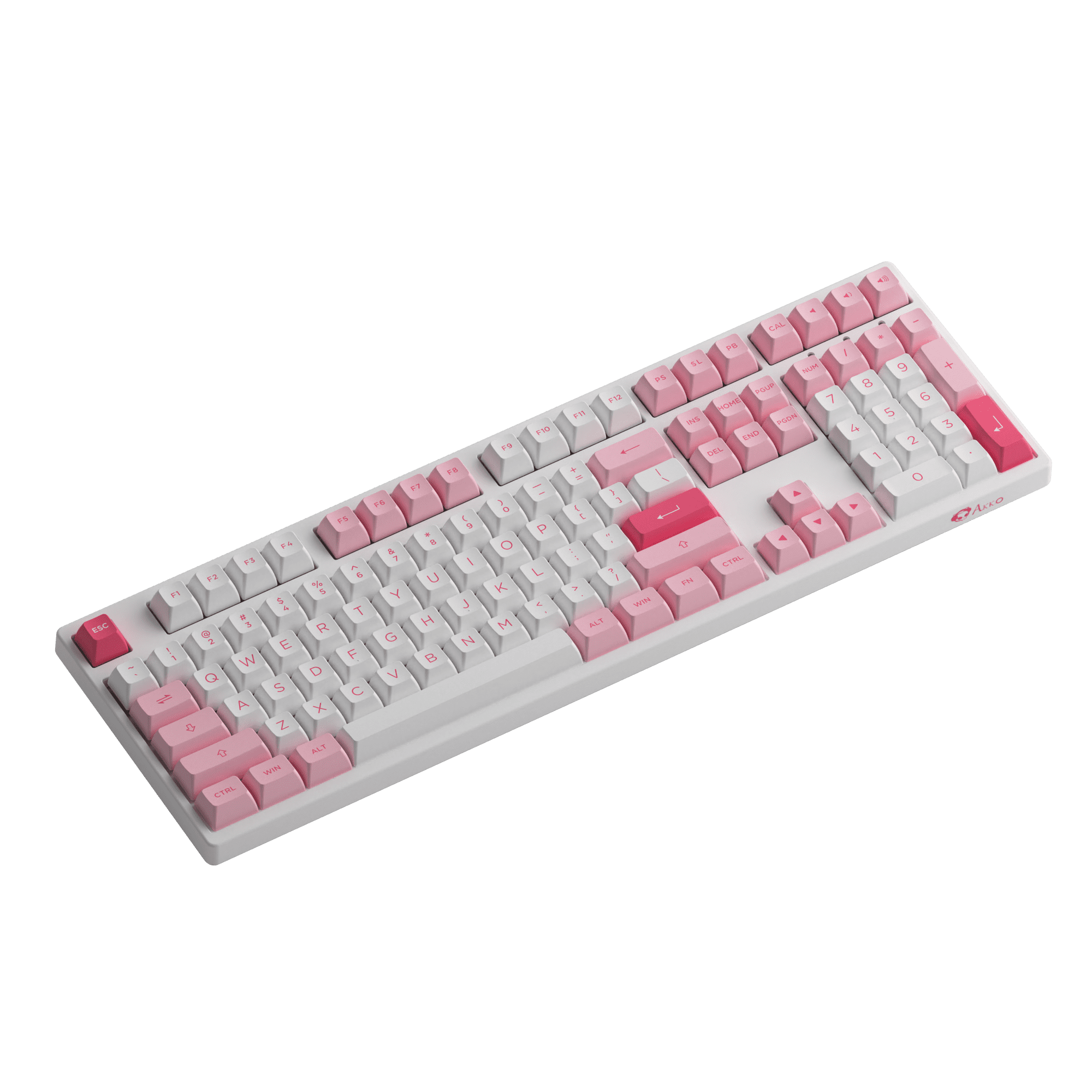 Prunus Lannesiana 3108v3