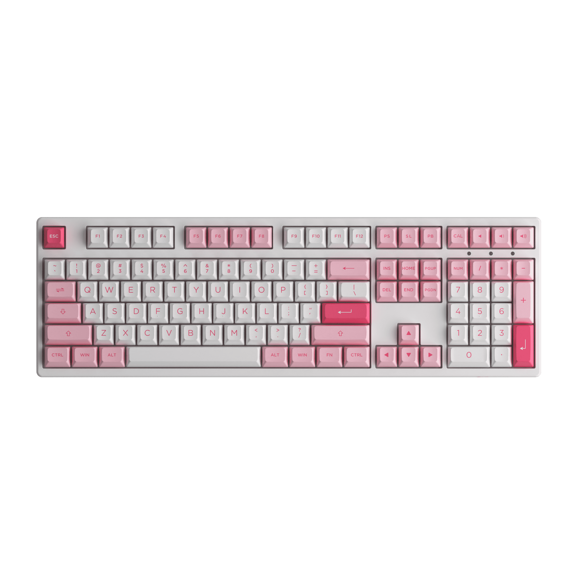 Prunus Lannesiana 3108v3