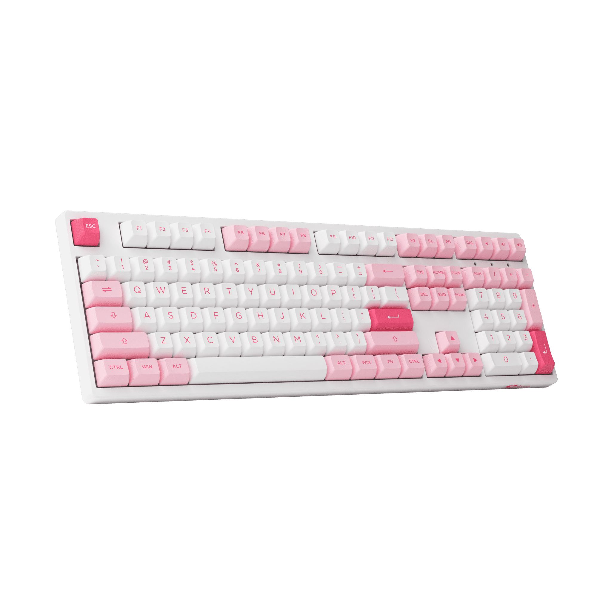 Prunus Lannesiana 3108v3