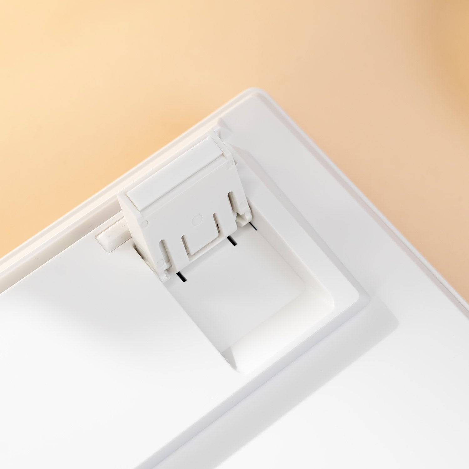 Prunus Lannesiana 3108v3