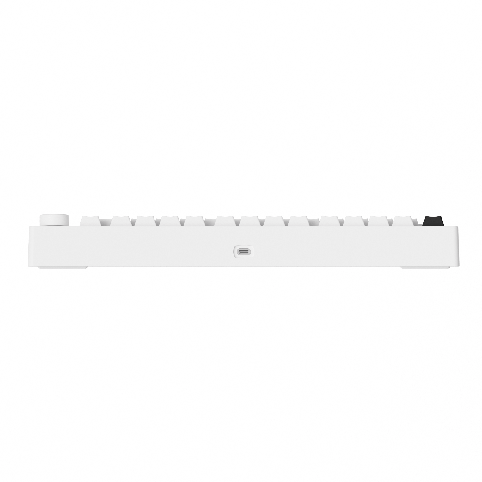 MonsGeek M1 V5- Black on White- Black & Silver