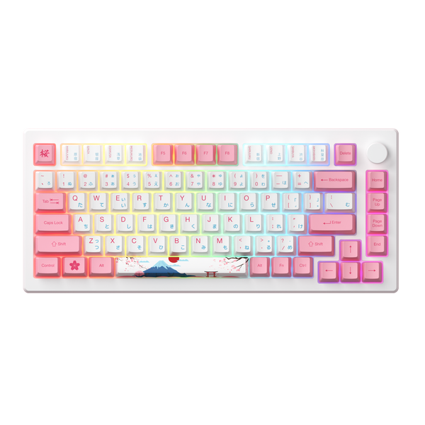 MOD 007B HE PC Tokyo R2