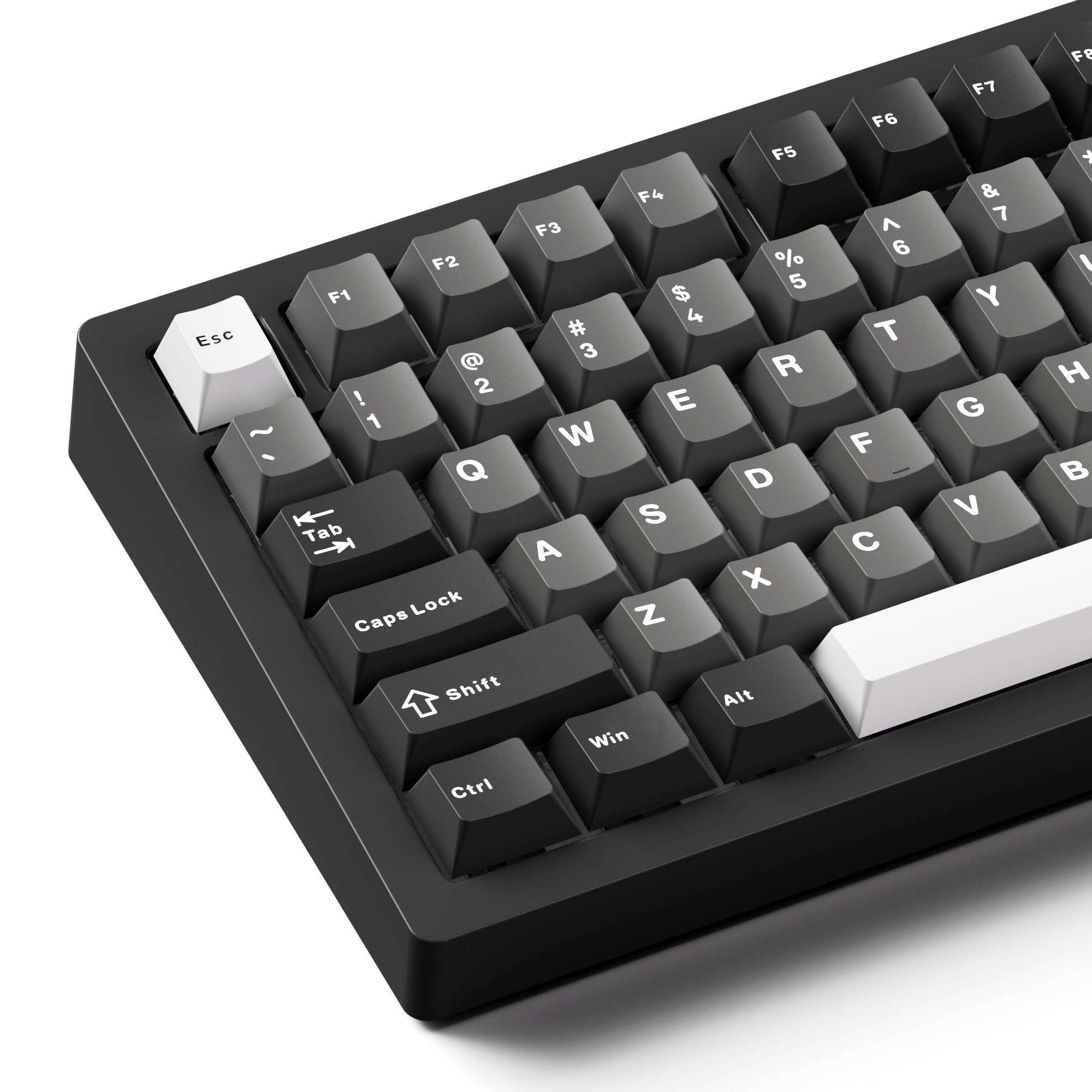 MonsGeek M1 V5- Black on White- Black & Silver