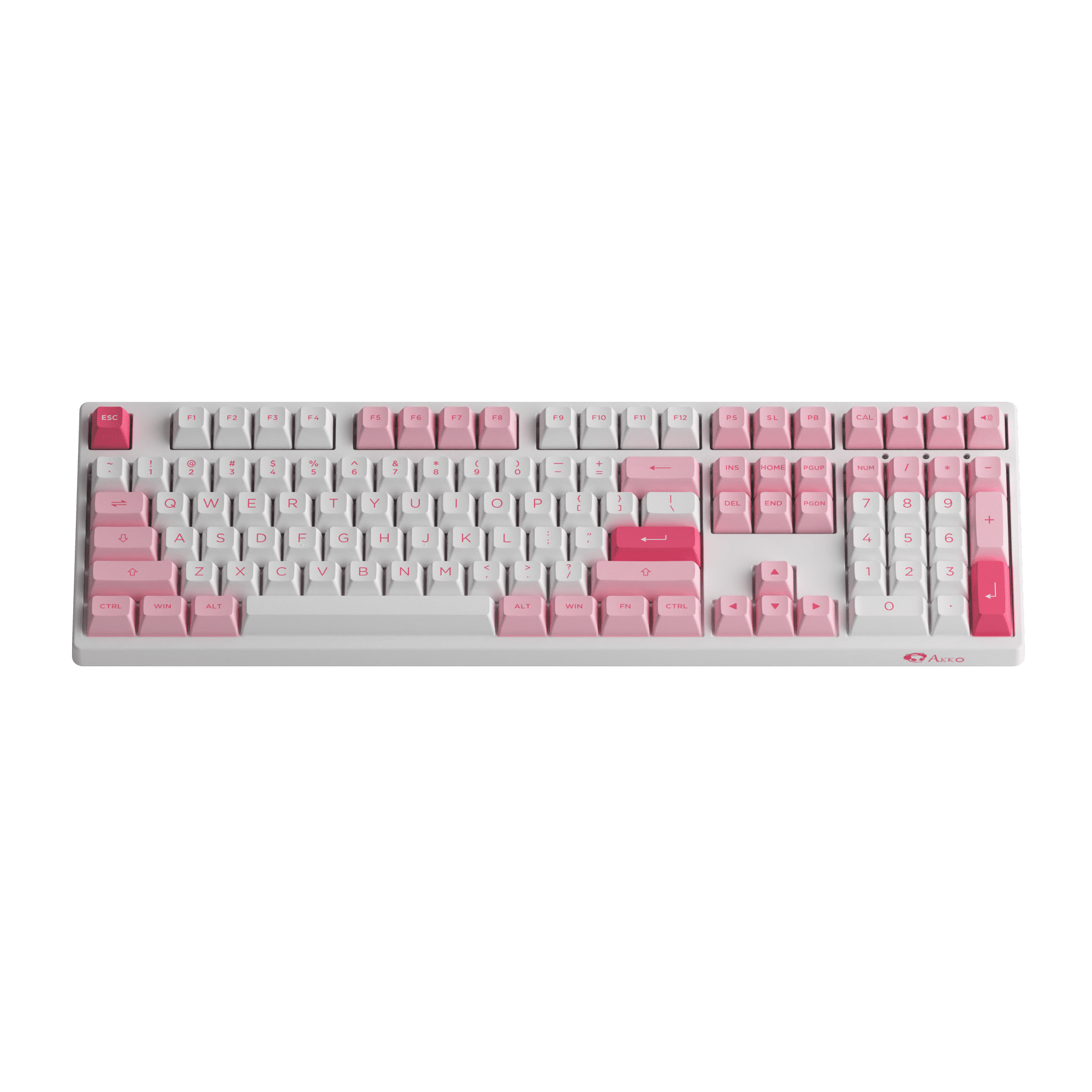 Prunus Lannesiana 3108v3