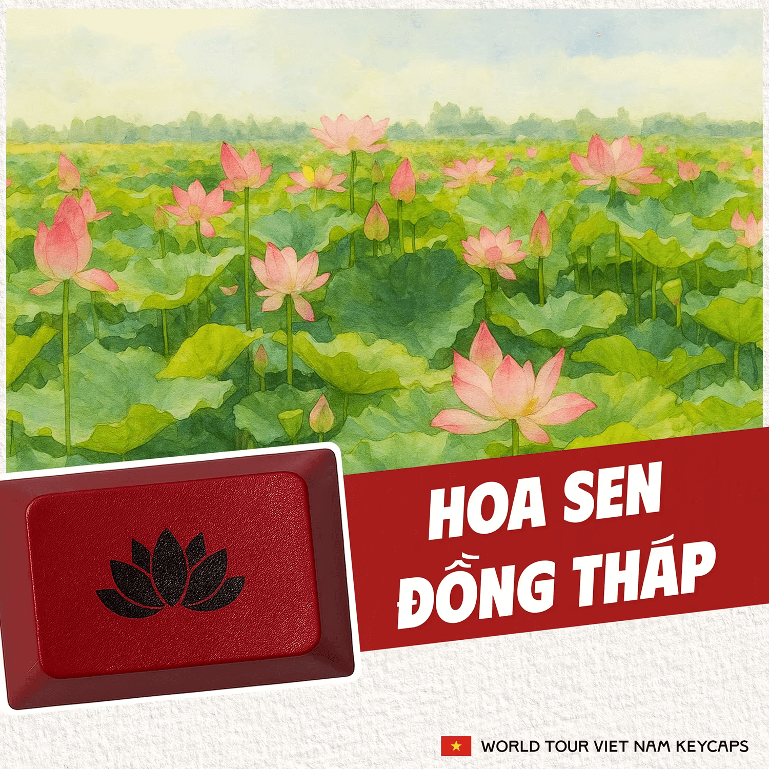 Akko 5075B Plus World Tour Vietnam Mechanical Keyboard Special Keys