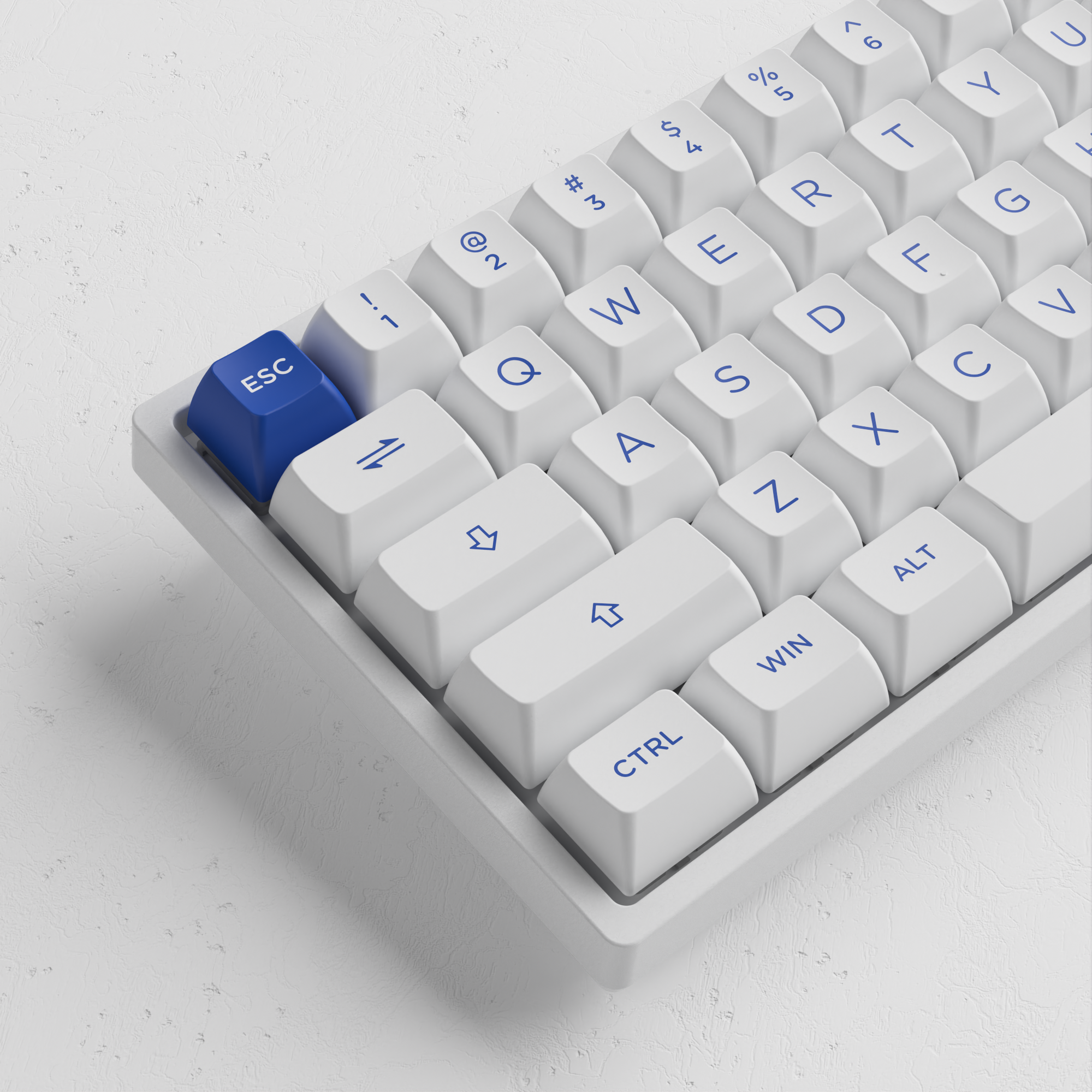 Bleu sur blanc 3068B Plus