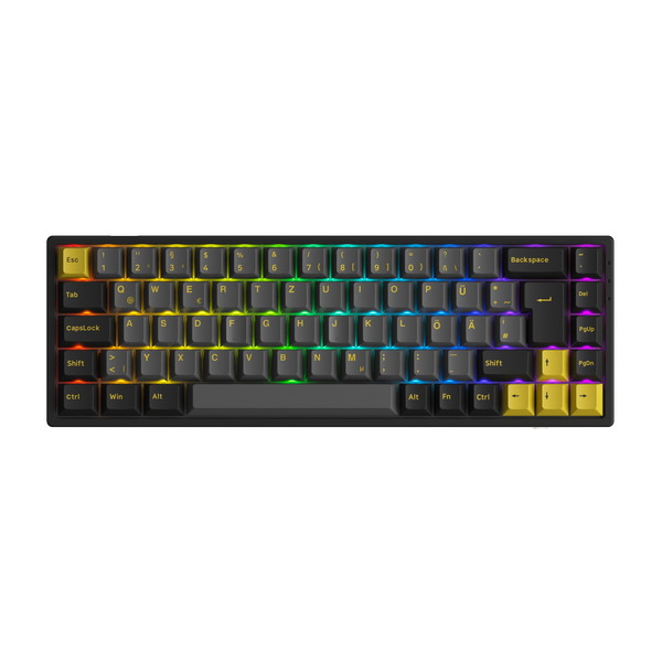 Black & Gold 3068B Plus ISO