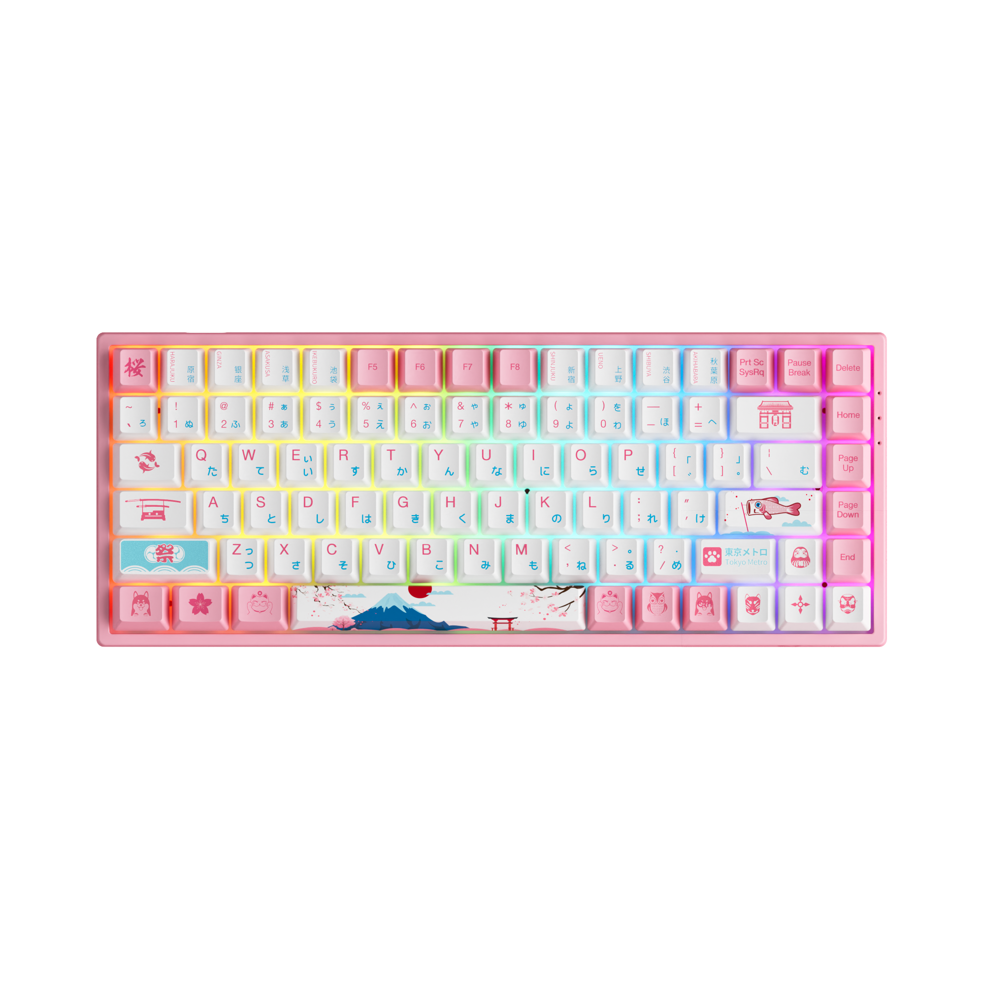 World Tour Tokyo R2 3084B Plus