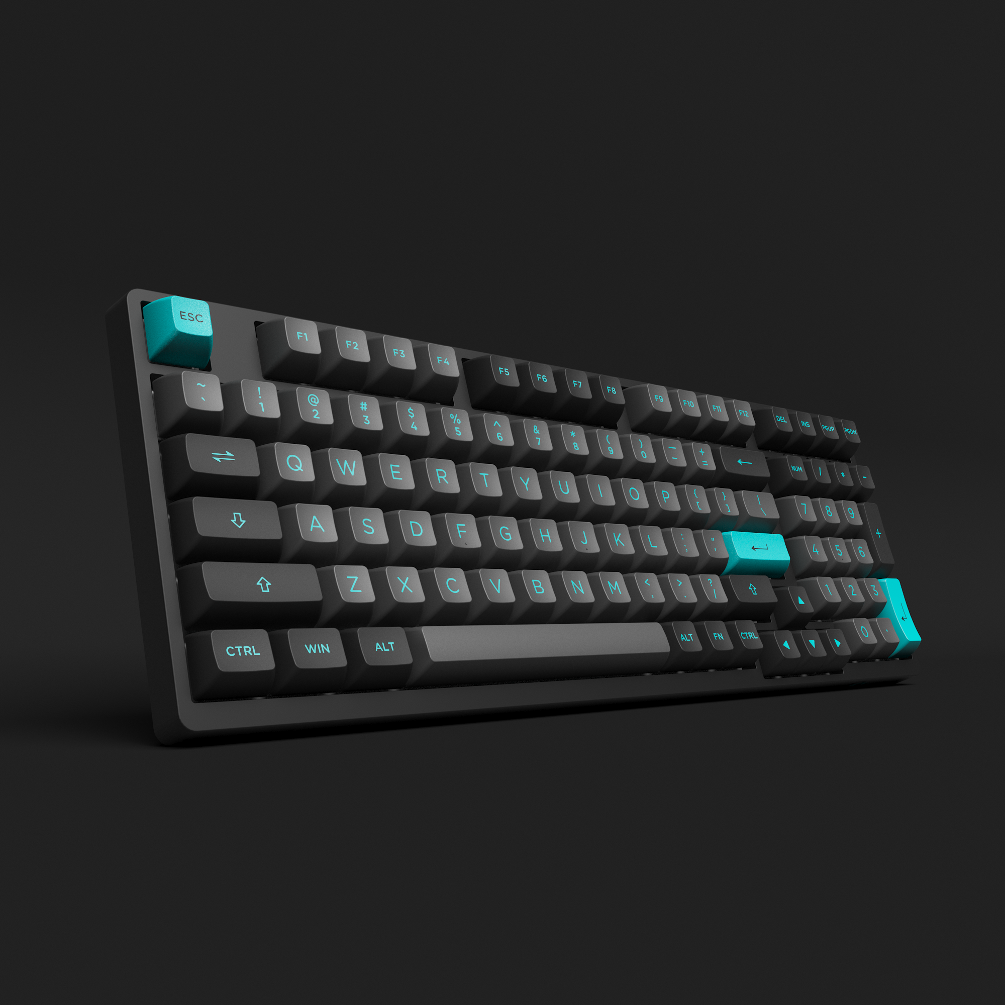 Schwarz und Cyan 3098N