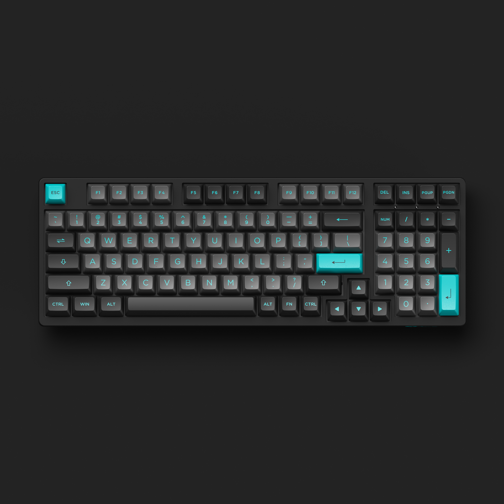 Noir et cyan 3098N