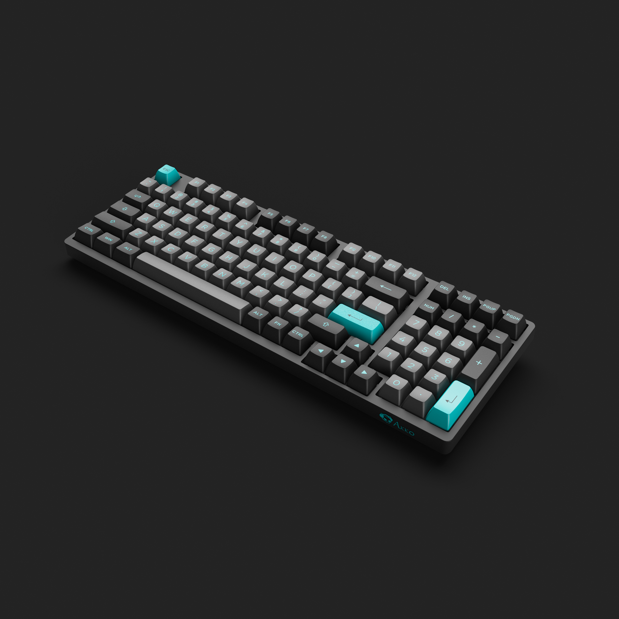 Black & Cyan 3098N