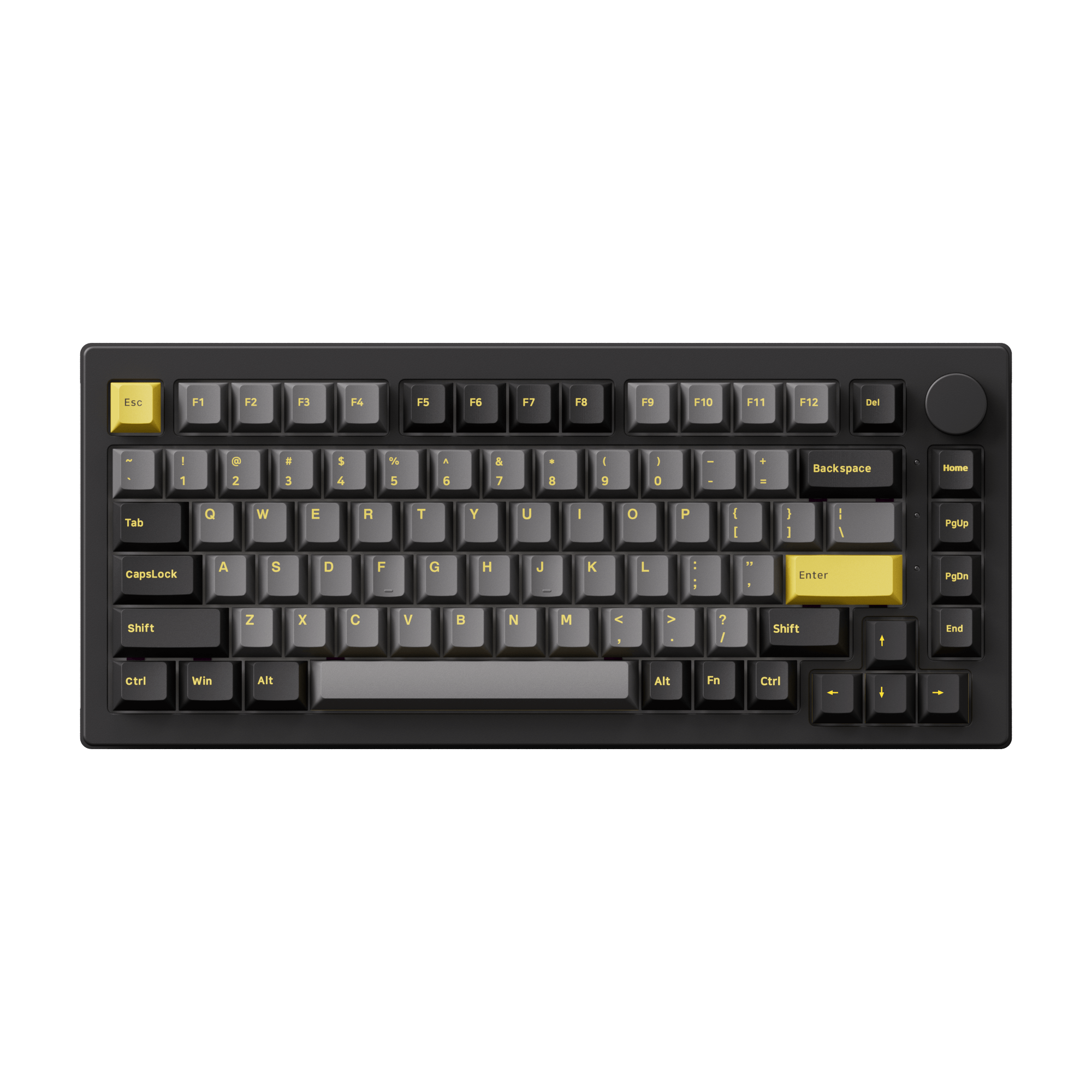 Black & Gold 5075B Plus ISO