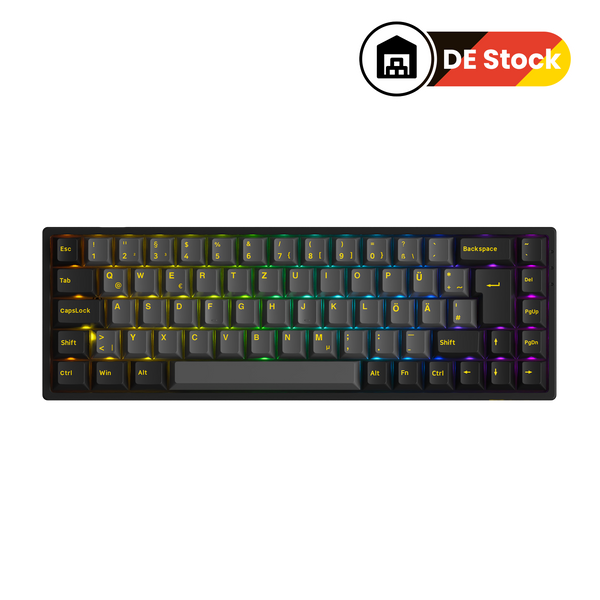 Black & Gold 3068B Plus ISO