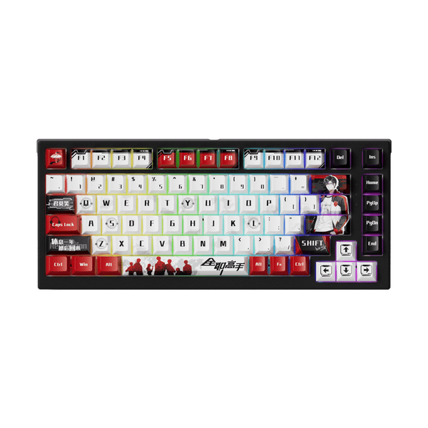 Akko TAC75 HE Shine Through Kings Avatar RGB