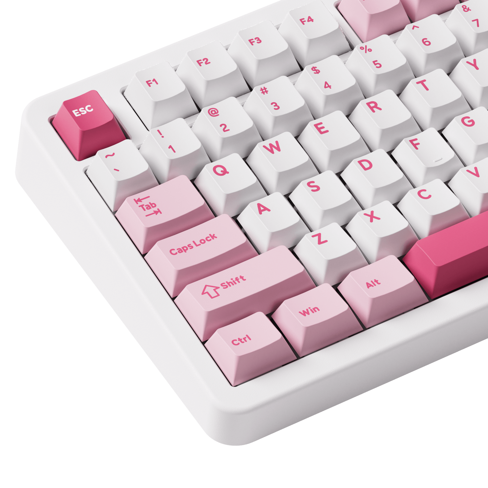 Akko TAC87 Prunus Lannesiana Mechanical Keyboard Left Details