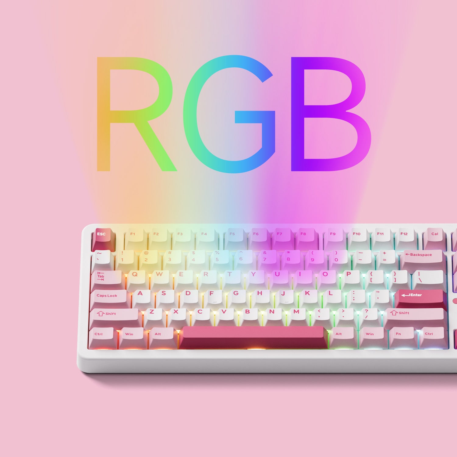 Akko TAC87 Prunus Lannesiana Mechanical Keyboard RGB