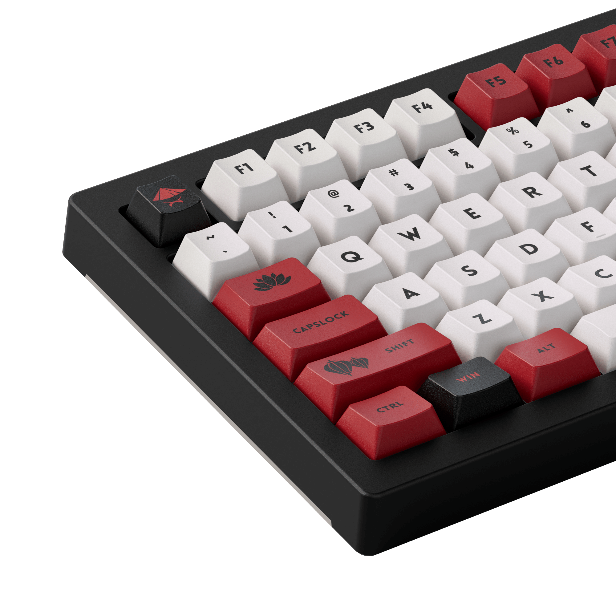 World Tour Vietnam 5075B Plus