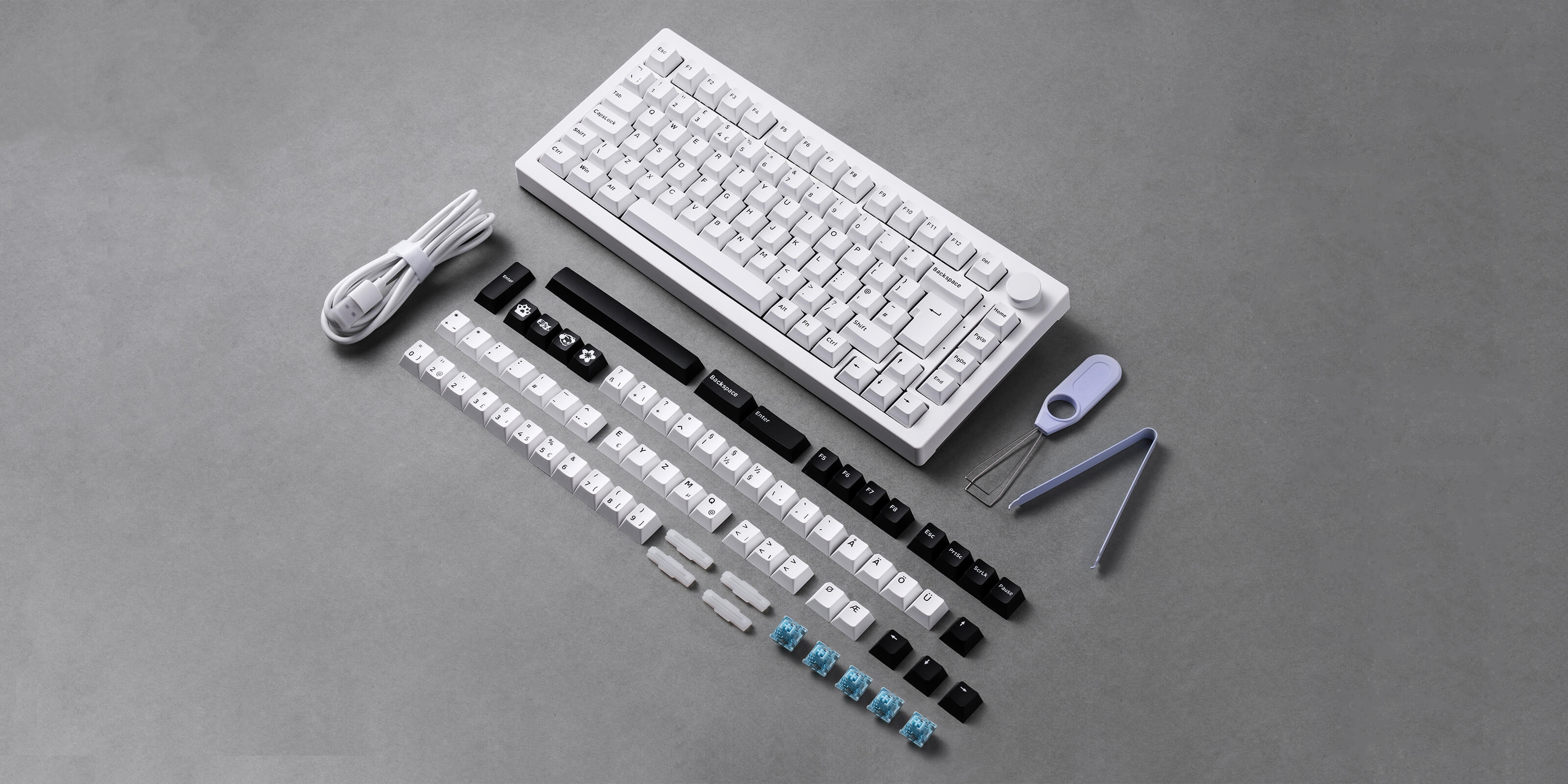 Akkoメカニカルゲーミングキーボード Amazon | Akko 100キー 96%有線メカニカルゲーミングキーボード 抹茶