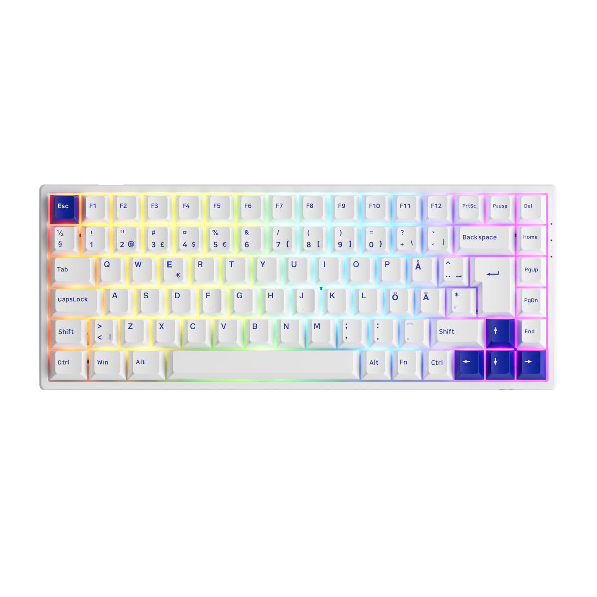 Blue-on-White-3084B-Plus-ISO-