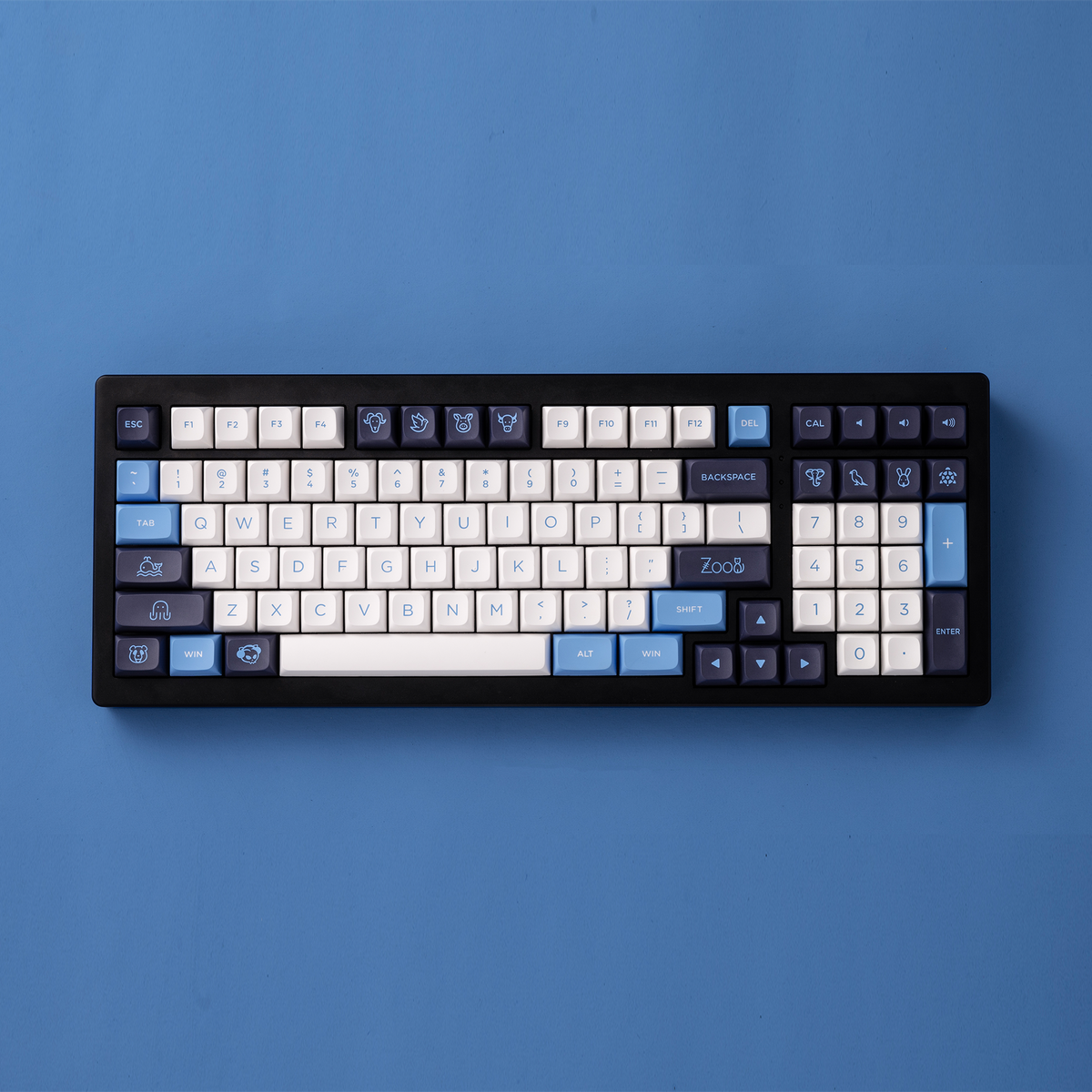Akko Carolina Blue Keycap Set(227-Key) | AKKO EU