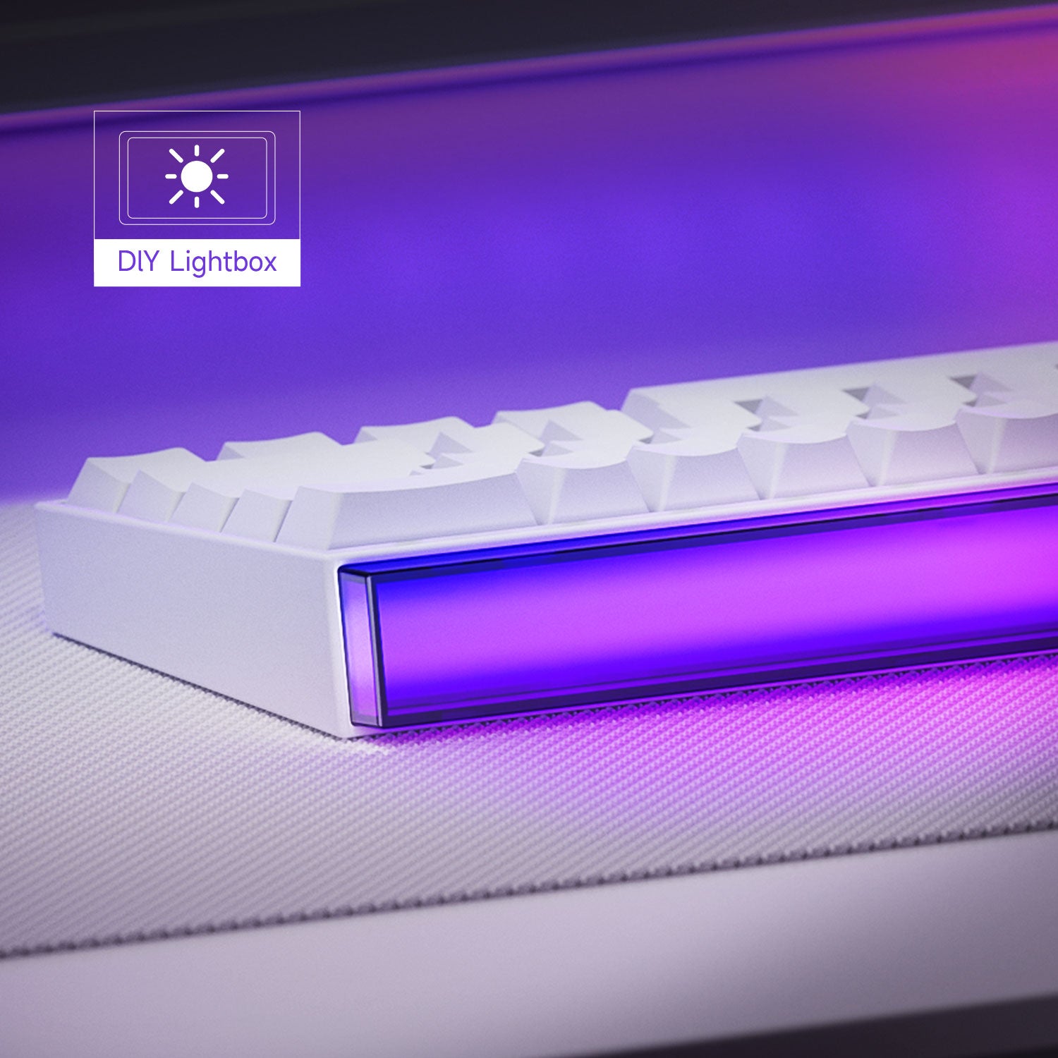 Shine60 HE Magnetic Keyboard Lightbox