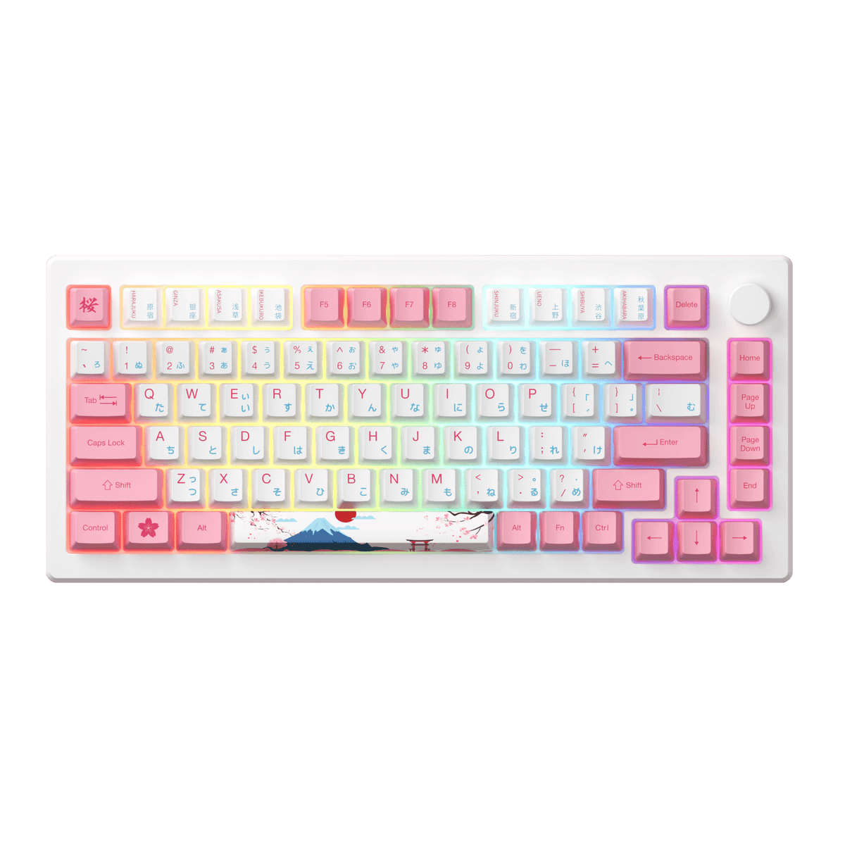 Akko MOD 007B PC Tokyo R2 Mechanical Keyboard | AKKO EU