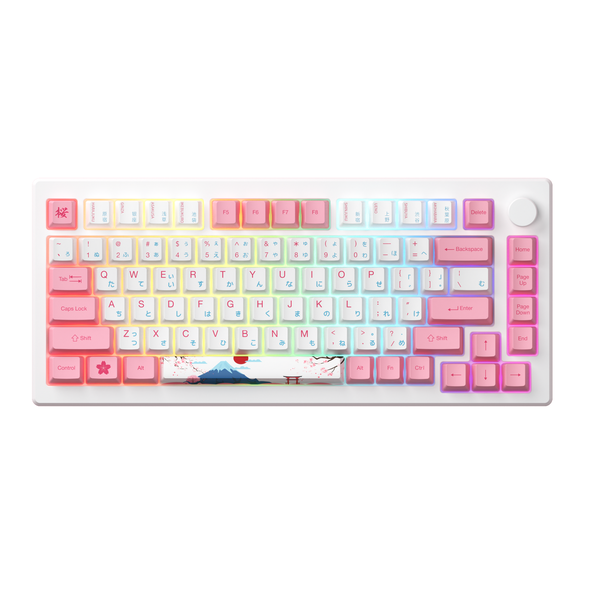 Akko MOD 007B HE PC Tokyo R2 Hall Effect Switch Keyboard | AKKO EU