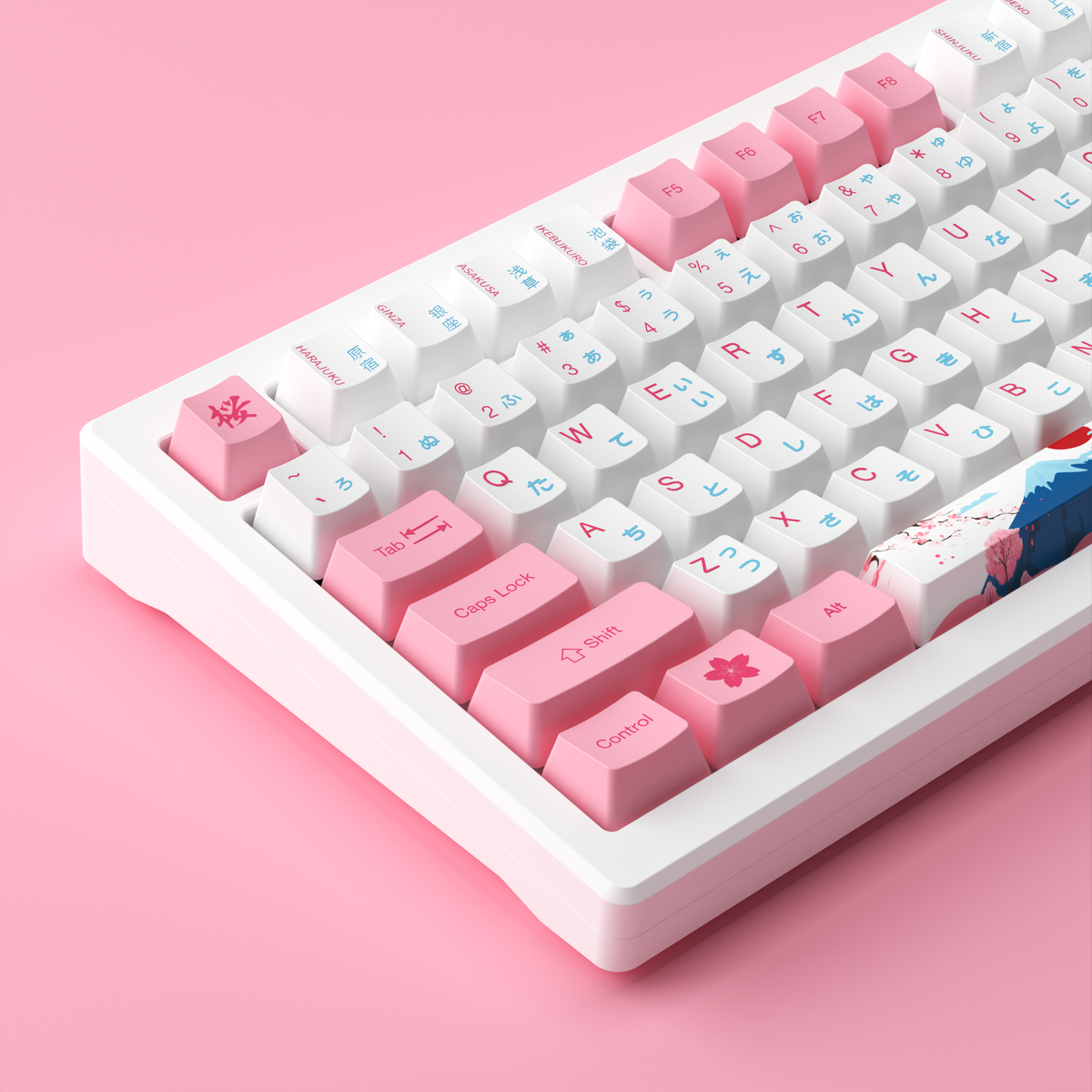 Akko MOD 007B HE PC Tokyo R2 Hall Effect Switch Keyboard | AKKO EU