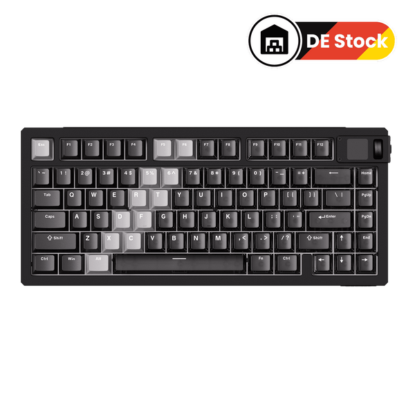 MOD 007 V5 HE Gradient Hybrid Black Transparent (DE Stock)