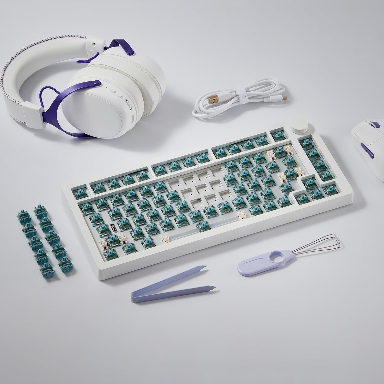 MonsGeek M1 V5 HE DIY Kit with switches