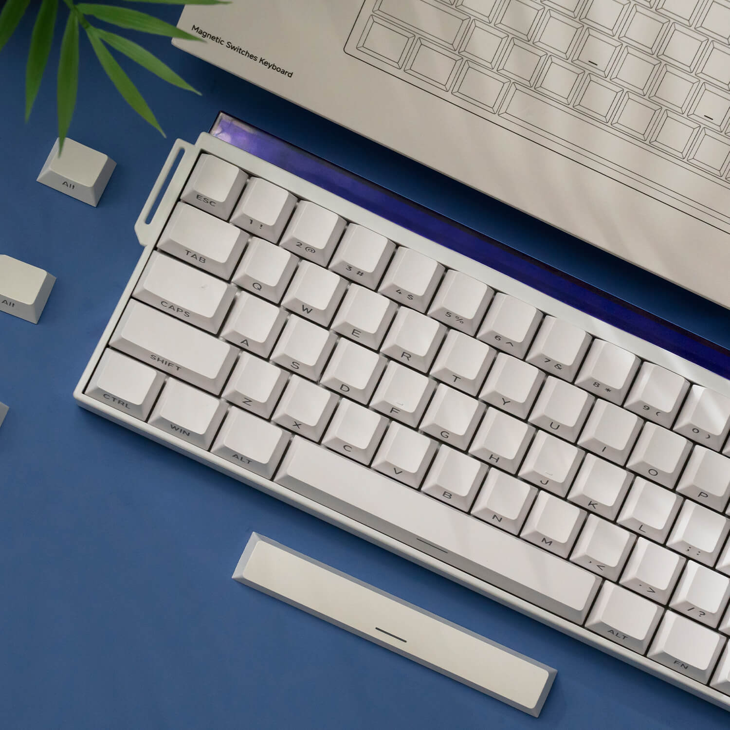 Shine60 HE Magnetic Keyboard Details
