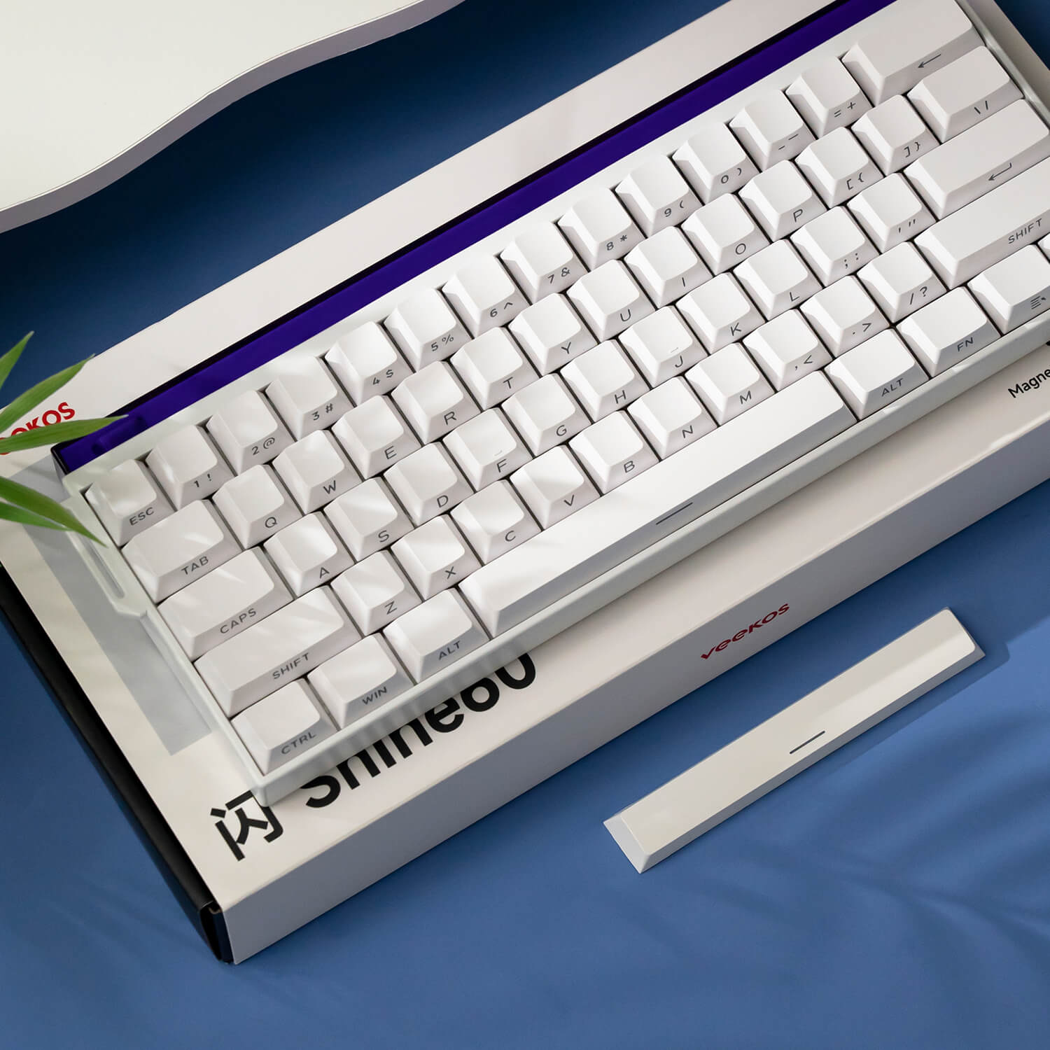 Shine60 HE Magnetic Keyboard Details