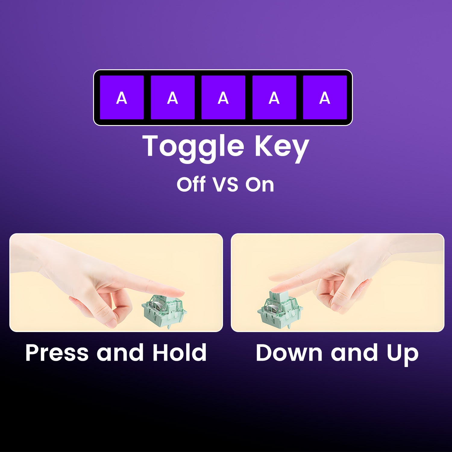 Shine60 HE Magnetic Keyboard Toggle Key