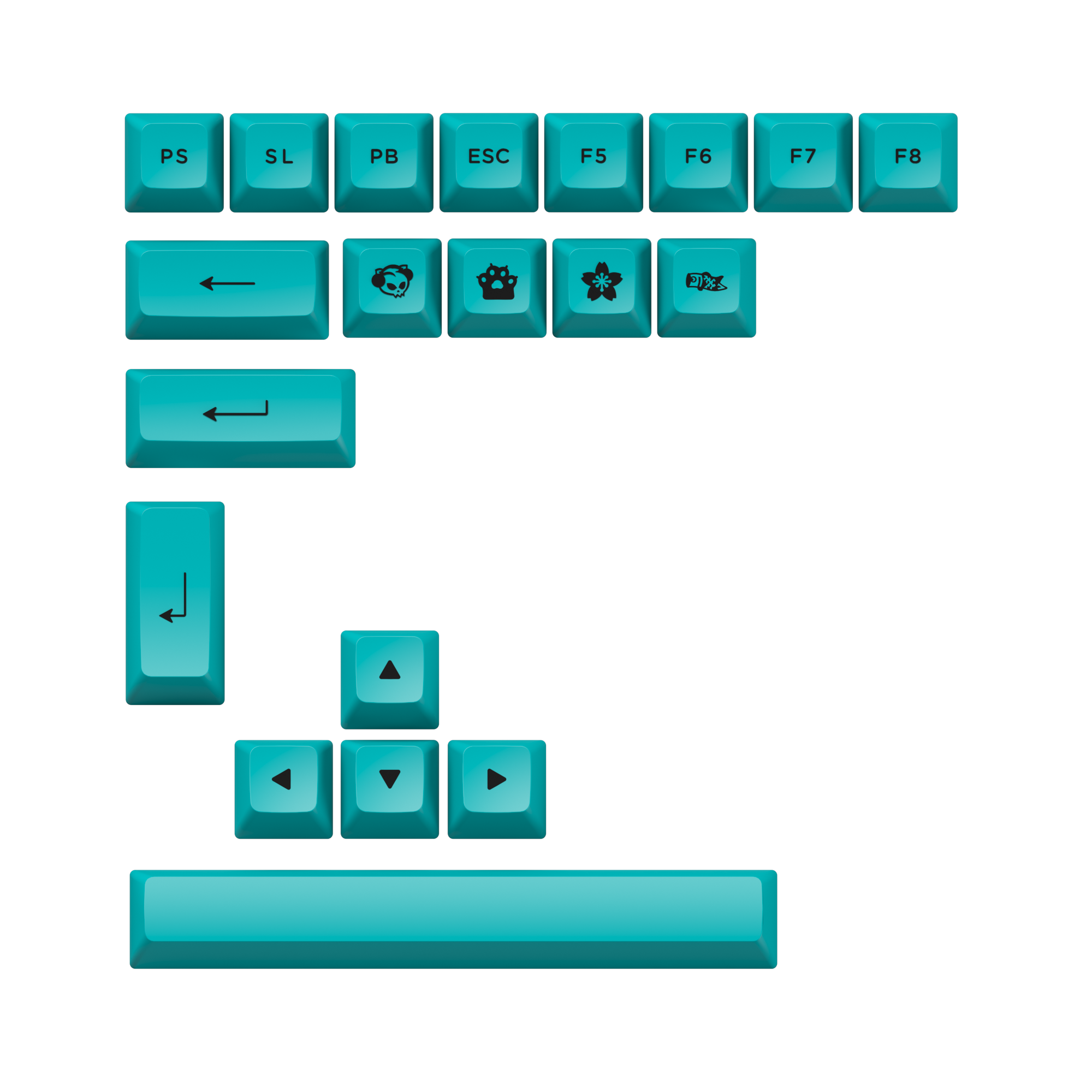 Schwarz und Cyan 3098N