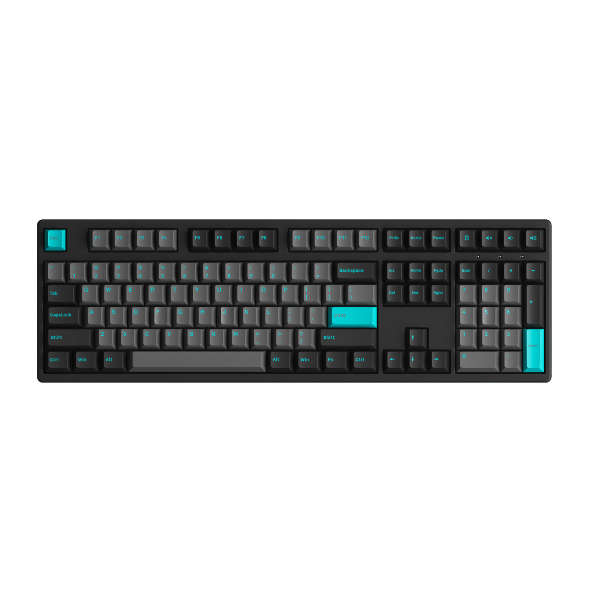 Black & Cyan 3108 Plus